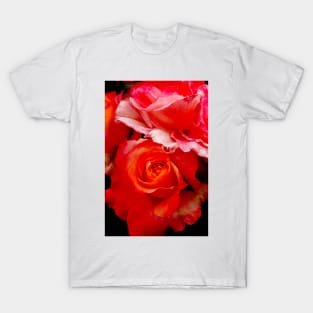 Dark Rose T-Shirt